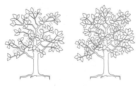 Abstract Tree Drawing